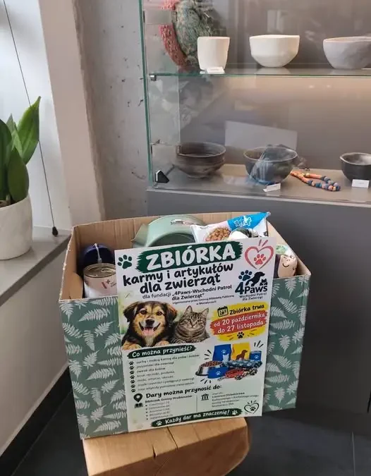 Zbiórka dla bezdomnych zwierząt w Centrum Dziedzictwa – pomóż czworonogom przetrwać zimę